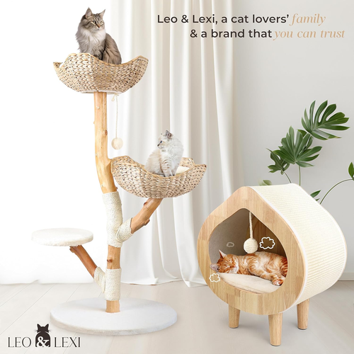 Real Wood Modern Cat Tree Tower for Indoor Cats Large Adult, Heavy Duty Woode... - Picture 7 of 12