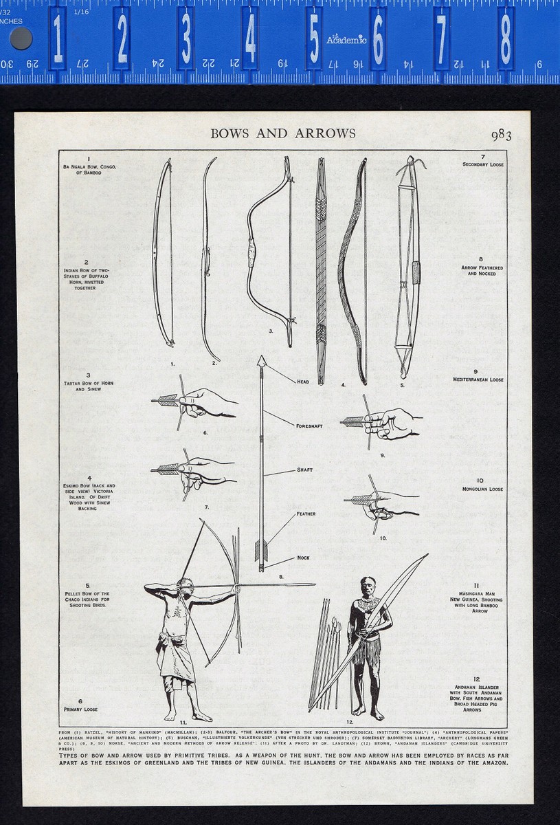 History Of Bow And Arrow