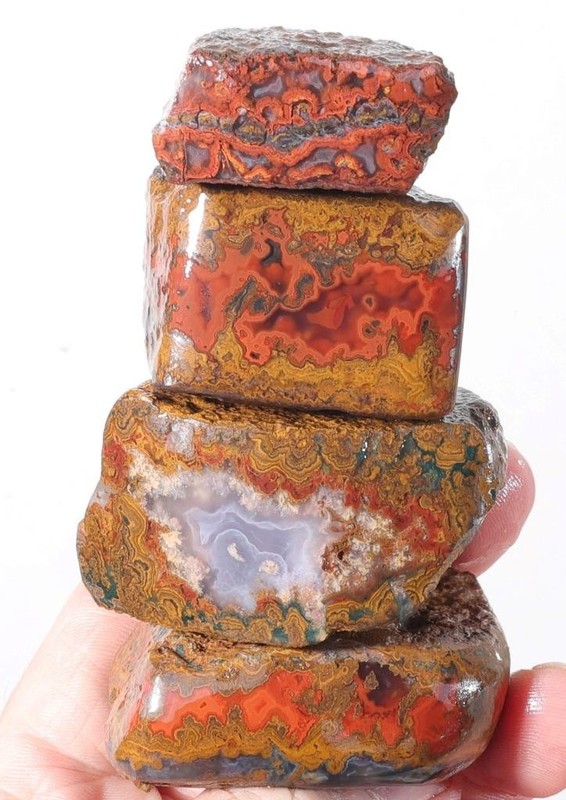 Morocco Kerrouchen Seam Agate 10.5 oz lapidary faced rough Lot C1