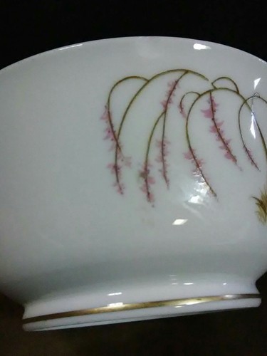 Elegant Vtg. Parisienne Royal Jackson "Willow Wind"(4) Cups & Creamer Set - Picture 5 of 10