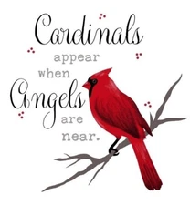 New Cardinals Appear Angels Bird Plush Gift Throw Blanket Cardinal Red Birds NIP