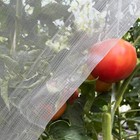 Ultra Fine Garden Netting 4'x10' Plant Pest Barrier Covers Bird Patio Mosquito N