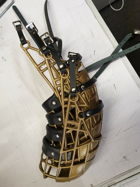 greyhound box muzzle