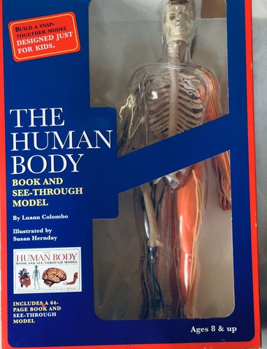 Human Body Model Kit "The Visible Woman" Vintage Revel Educational - Picture 2 of 6