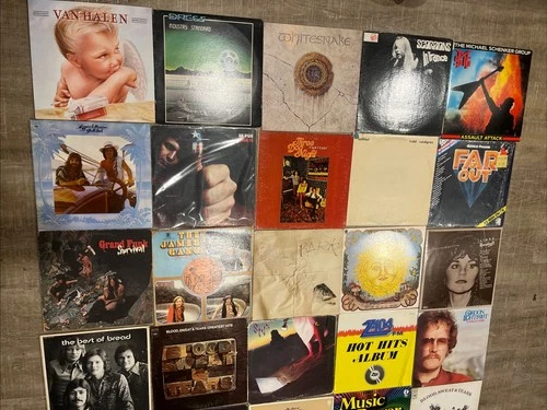 Lot Of 25 Rock/Misc Vinyl:Whitesnake,Van Halen,Scorpions,Michael Schenker,Klaatu
