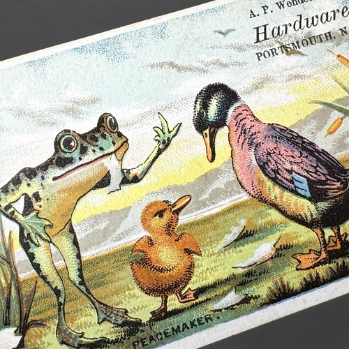 Ancienne carte commerciale victorienne oeufspectation pacificateur grenouille poussin canard humour - Photo 3/4