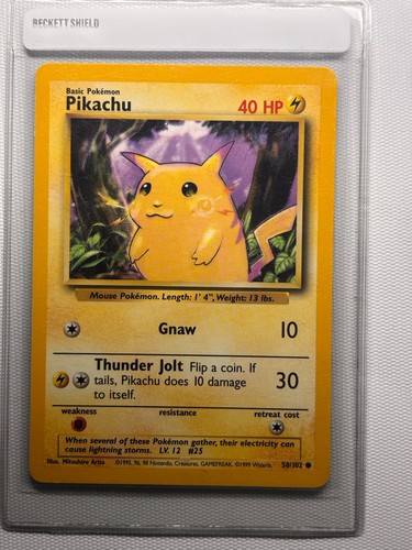 Pikachu (27)