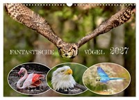 "Calendar 2027 · US Version · Fantastic Birds (Wall Calendar 2027 17\" × 12\" Lands"