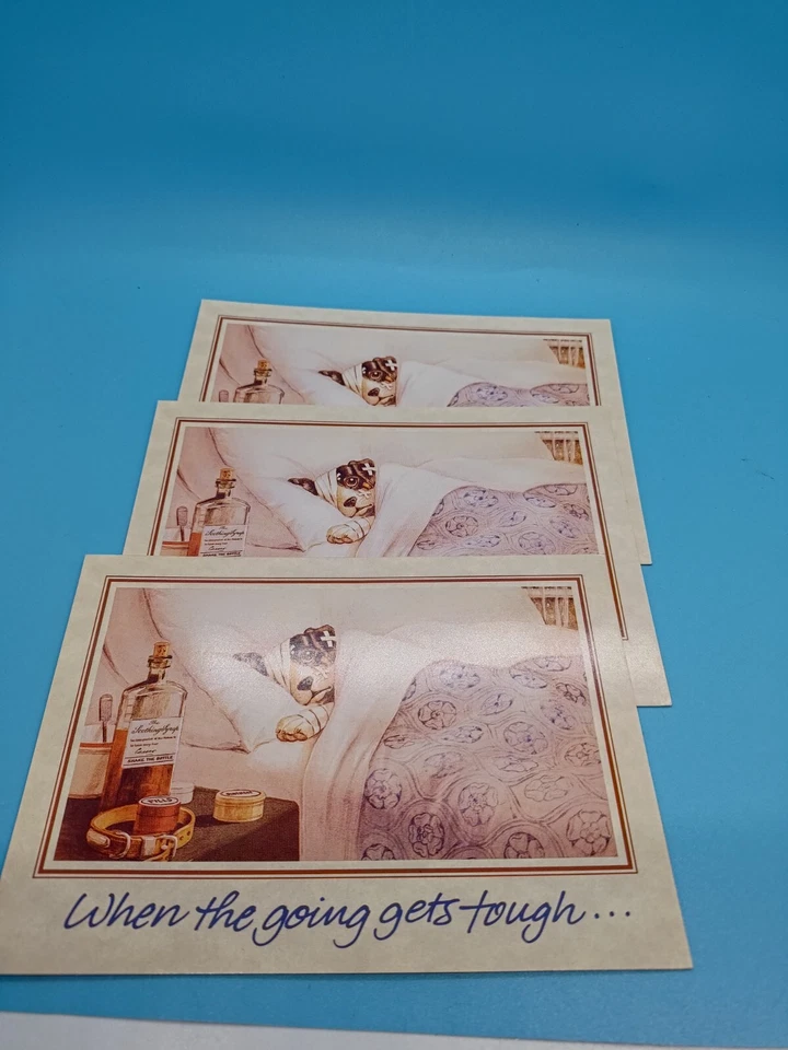 Leanin' Tree Get Well Soon Card Never Pick A Fight W/A Cat - Image 3 of 4