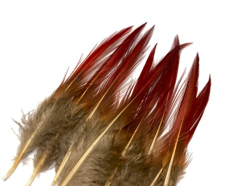 10 Pieces - 4-6" Natural Red Golden Pheasant Red Tip Loose Pointy Feathers Craft - Picture 11 of 11