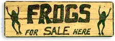 Frogs For Sale Tin Metal Sign Farm Swamp Lake Pond Sign Decor Tin Sign B302