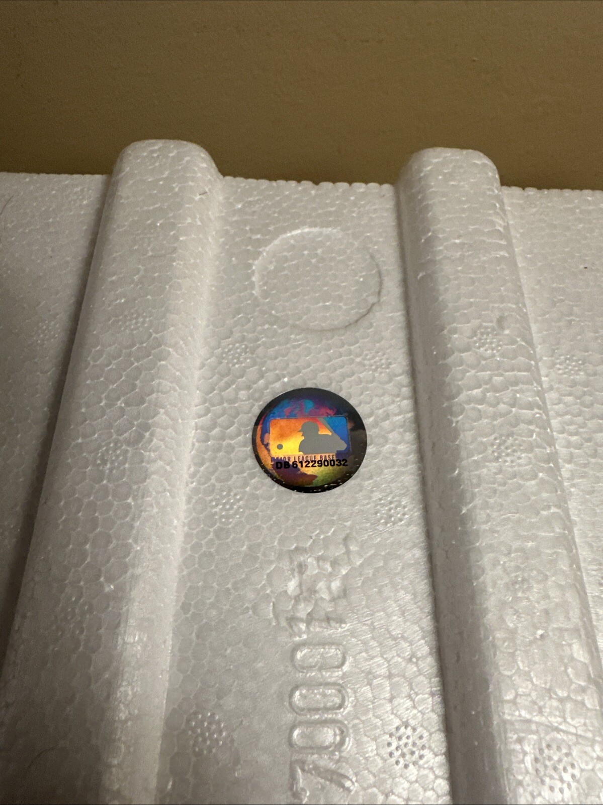 Picture 10 of 10