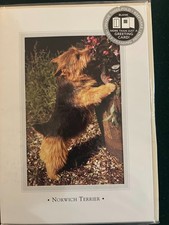 Caroline's Treasures – Decorazione Natalizia In Porcellana Con Norwich Terrier, Rotonda 7 Cm, Personalizzabile Sul Retro, Ciondolo Con Corda Oro - 4