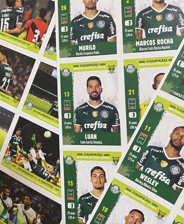 Kit Palmeiras Champions 2022 - First sticker ever Endrick real Rookie ...