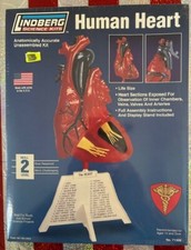 Lindberg Science Kits #71309: Human Heart, Li...