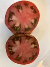 15 Black Sea Man Tomato Seeds NON-GMO