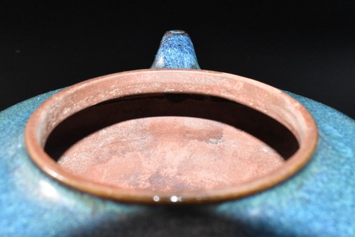 U9273: XF Esmalte Pepino de Mar Chino TETERA Kyusu Sencha, Automática - Imagen 5 de 9