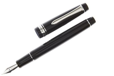 Pilot Namiki Custom Heritage 912 Fountain Pen FA Falcon 14K Gold Nib Japan NEW