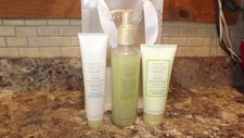 Mary Kay Satin Hands Set White Tea Citrus Full Size Brand New