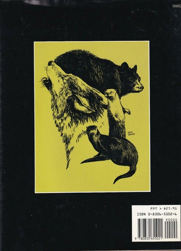 DRAWING AND PAINTING FROM NATURE By Cathy Johnson (1989 Hardcover) - Picture 2 of 2