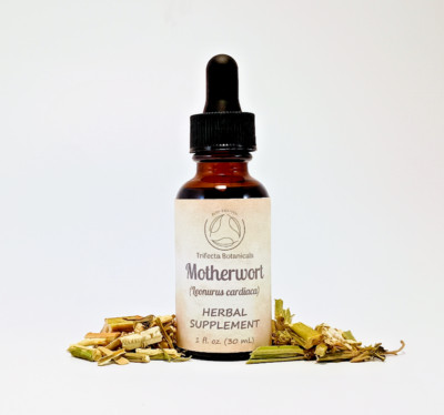 MOTHERWORT TINCTURE - Liquid Herbal Extract - Organic Leonurus cardiaca Herb