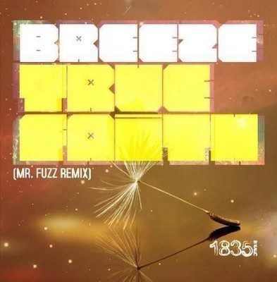 Audio Cd Neu - Breeze - True Faith (Mr Fuzz Remix) -I- Essential Media Group
