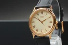 Vtg 2004 Near MINT Seiko Spirit 5E31-6040 Gold Roman HAQ Qz Mens Watch JAPAN