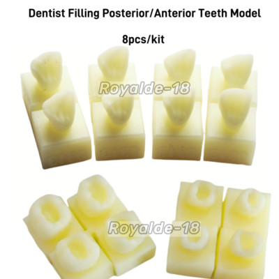 Dental Dentist Filling Post/Anterior Teeth Model School Composite Resin Practise