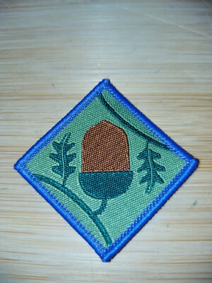 Current UK Scouting Explorer Scout Young Leader Scheme Module A Uniform Badge 