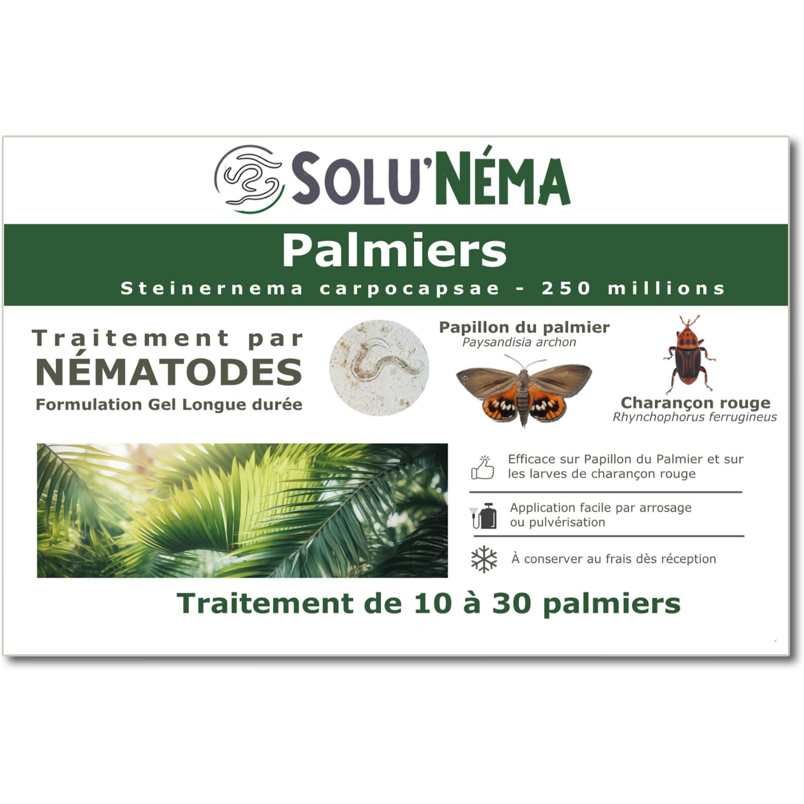 Nématodes charançon rouge palmier SOLUNEMA traitement biologique 250M