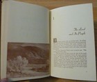 Foto 7 di 18