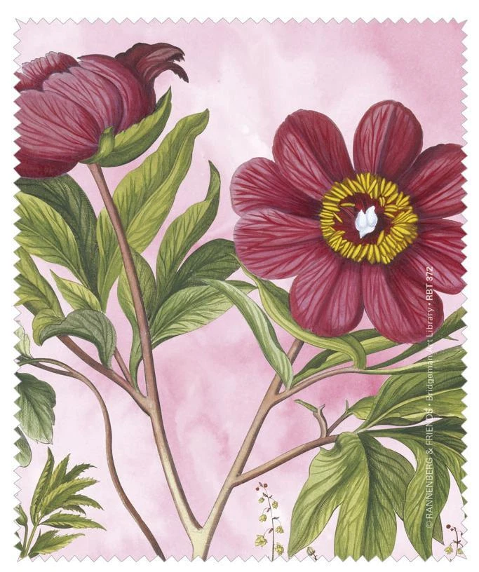 florales Brillenputztuch mit Motiv "Pfingstrose" von Rannenberg & Friends | NEU