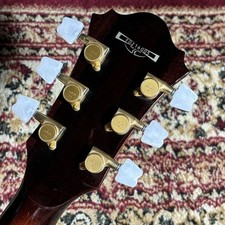 Ibanez AM200 E-Gitarrenbund 70 Prozent Teile okay braucht Halsreparatur