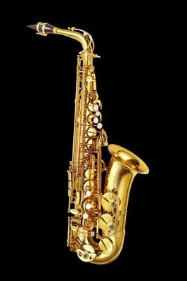 P. Mauriat PMSA-185ABS Advanced Alto Saxophone Outfit - Gold Lacquer