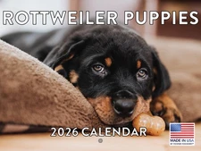 Rottweiler Puppy Calendar 2026 Monthly Wall Calender 12 Month Made In The USA