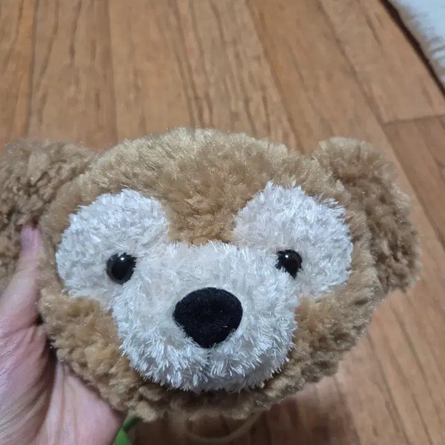 Disneyland Bag - Used, Excellent Condition, Includes Tags