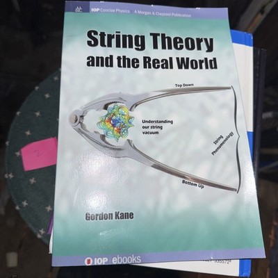 String Theory and the Real World by Gordon Kane (2017, Trade Paperback)