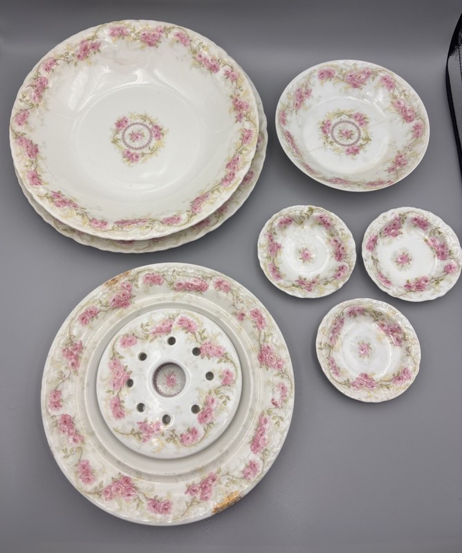 Haviland Limoges Porcelain Floral Plates Bowls France 8pc set 
