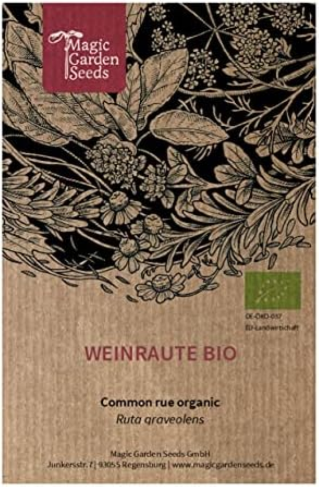 Ruta comune (Ruta graveolens) biologica - circa 100 semi