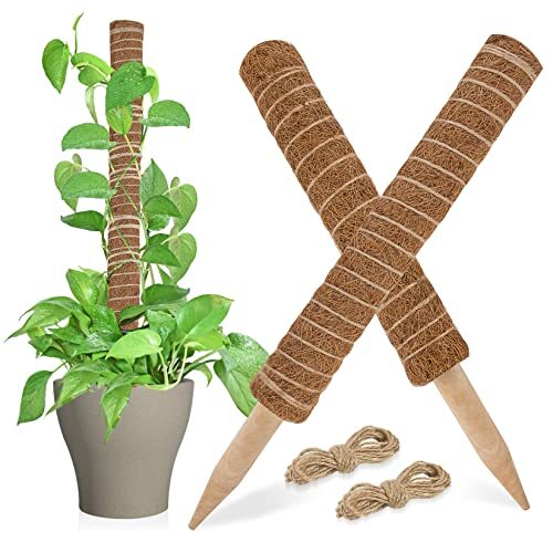 2pcs Moss Pole for Climbing Plants Coir Totem Plant Monstera Support Stick  | eBay