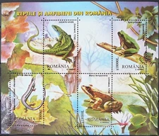 Romania Souvenir Sheet  - Reptiles and Amphibians_2003 - MNH. 