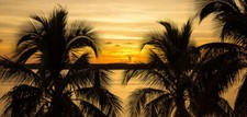 Ceramic Backsplash Tile Mural Real Life Kitchen/Bathroom - Sunset in Paradise 2