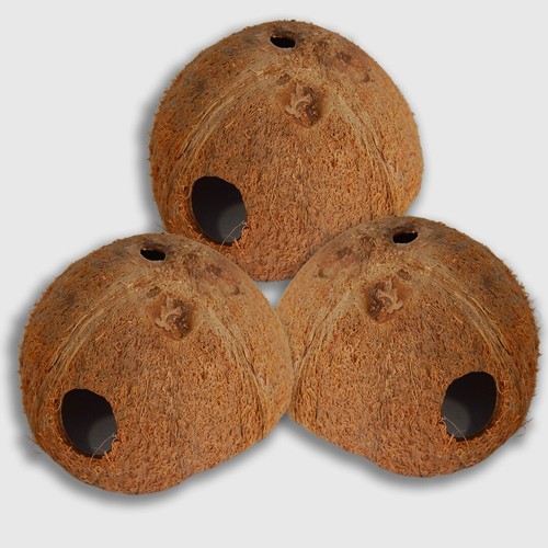One Side Hole 3pcs Coconut Shell Aquarium For Fish Tank Décor Hideout Place Frog - Picture 4 of 14