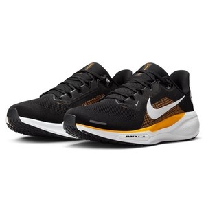 nike air zoom pegasus 36 pittsburgh steelers