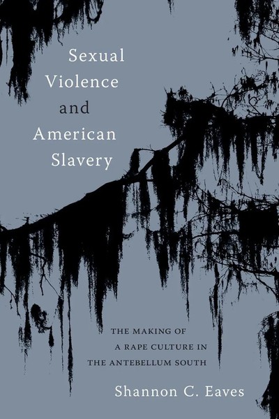 Sexual Violence And American Slavery Shannon Eaves Taschenbuch Englisch 2024-image