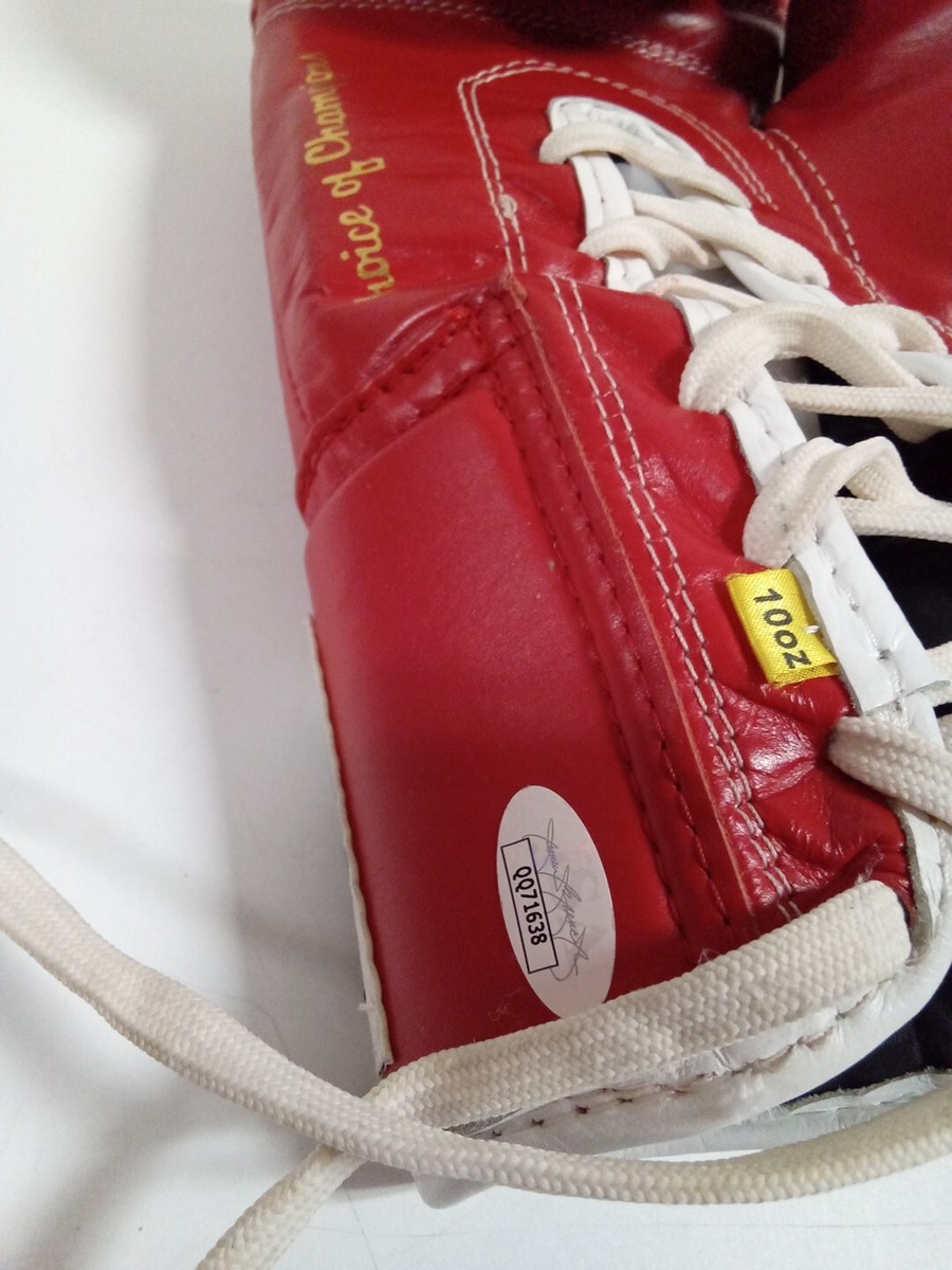 Gants de Boxe Everlast PNG transparents