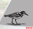 SANDPIPER BIRD Vinyl Decal Sticker Car Truck Rear Window Wall Bumper CUTE ANIMAL