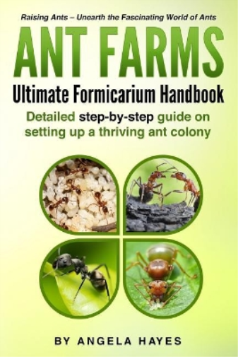 Angela Hayes Ant Farms - The Ultimate Formicarium Handbook (Tascabile)