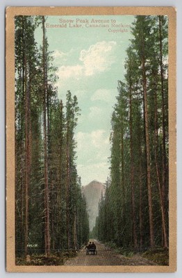 Snow Peak Avenue Emerald Lake Canadian Rockies Vintage Postcard UK Print