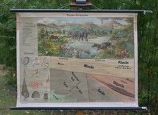 VINTAGE | SCHULWANDKARTE TERTIÄR-FORMATION MIOCÄN ZEIT| SCHOOL WALLCHART